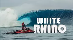 White Rhino