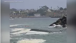 12-year-old junior lifeguard helps rescue capsized boaters off Oceanside