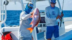 Mutton Spawn, Bahamas