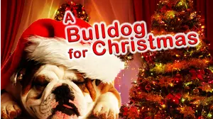 A Bulldog for Christmas
