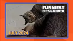 Ep. 1.8