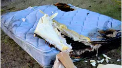 Interrogation Raw: A Betrayal of Trust -- Interrogation Raw