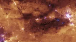 Black Holes