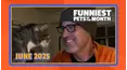 Funniest Pets of the Month