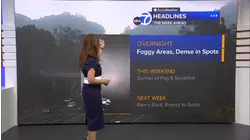 AccuWeather Forecast: Fog over inland East Bay expands overnight