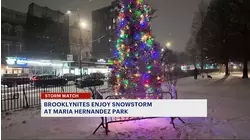 Snowfall picks up across Brooklyn