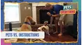 Pets VS. Everything