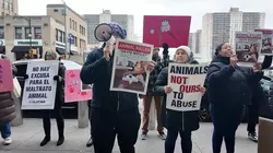 Animal advocates rally against accused cat killer outside court