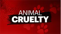 Dead dog found near creek in Hamilton, police asking for public's help