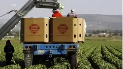 Lettuce recall expands to 27 states as over 7,000 sickened in at least 34 states