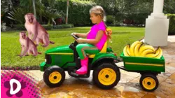 Diana's Backyard Zoo!