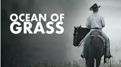 Ocean Of Grass
