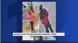 Men wanted for jewelry robbery pattern in the Bronx