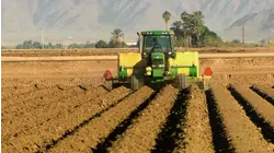 Salad, Rope, Insulin