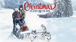 Christmas in the Wilds