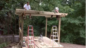 Barely Backyard