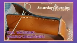 Saturday Morning Projects | Tail Wagging Transformations