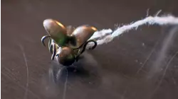 Paul Laidlaw and Catherine Southon, Day 5