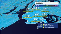 FREEZE WARNING: Frigid air moves in overnight and Tuesday as temperatures plunge in Brooklyn