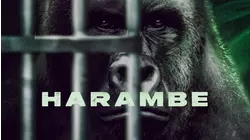 Harambe