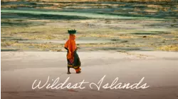 Zanzibar: Land of Giants