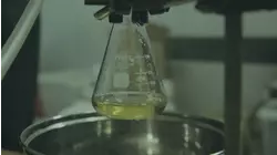 The Amphetamine Factory