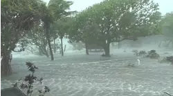 Weather