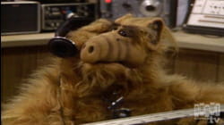 ALF: S1 E1 - A.L.F.