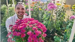 Garden Guide: Fall in love with chrysanthemums