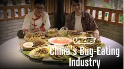 Vice | China's Bug-Eating Industry