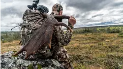 Newfoundland Part 2