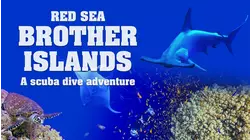 Red Sea: Brother Islands a Scuba Dive Adventure