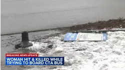 CTA bus kept driving after hitting woman trying to board: witnesses