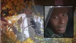 Tree falls on NJ apartment knocking teen unconscious