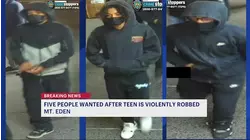 5 people on the run after teen violently robbed in Mt. Eden
