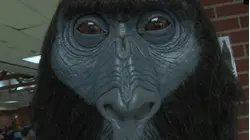 Bigfoot Hunters
