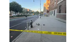 Man shot to death on Grand Concourse; investigation underway