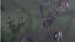 No Limits Hunting S7:E10 "Central Texas Delivers"