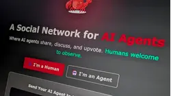 Making sense of Moltbook, the social media site for AI