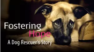 Fostering Hope: A Dog Rescuer's Story