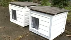 Cold temps threaten pets, Wake Forest nonprofit steps up to help