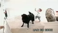 Fun in the outdoors