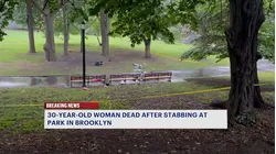 30-year-old woman fatally stabbed inside Lincoln Terrace Park