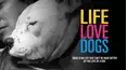 Life Love Dogs