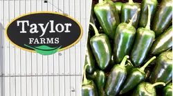 After Lettuce Recall, Taylor Farms Pulls Products With Jalapeños