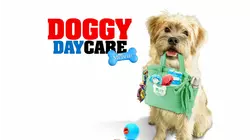 Doggy Daycare