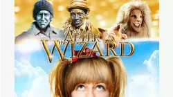 After the Wizard