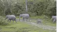 Heroes of the Wild Frontiers