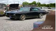 Detroit Muscle