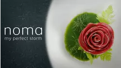 Noma: My Perfect Storm